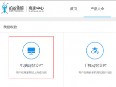 电脑网站支付宝支付申请