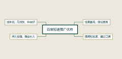 详解百度知道问答推广营销