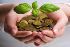 56食品获100万元种子轮融资  复合调味场景打通餐厨新零售