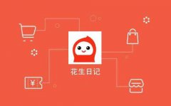 注册用户6000万，总交易额达420亿元 “花生日记”获3亿元A+轮融资