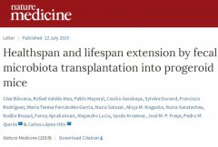 粪便移植展现延寿潜力，让早衰症小鼠寿命平均延长15%