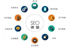 SEO干货分享，实战赢在起跑线上