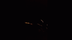 为了发个朋友圈，有多少人想把手机带上过山车的？