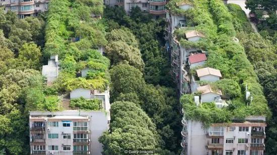 成都丰富的绿植让城市在夏季也能保持凉爽