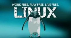 0基础如何更快速入门Linux系统？学完Linux有哪些就业方向？