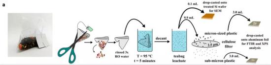 检测空茶包产生微塑料的实验设计流程。