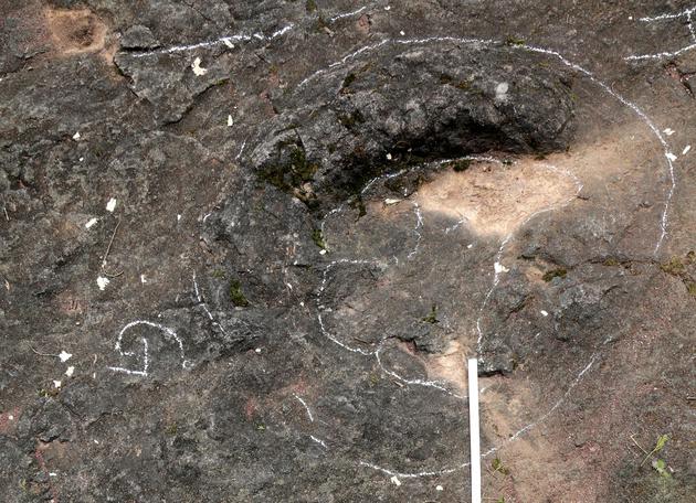 八仙岗的恐龙足迹可见清晰的趾印