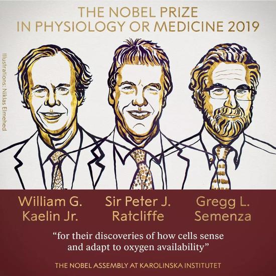 2019年诺贝尔生理学或医学奖得主：小威廉·凯林（William G。 Kaelin Jr。），彼得·J·拉特克利夫爵士（Sir Peter J。 Ratcliffe）和美国医学家格雷格·L·塞门扎（Gregg L。 Semenza）