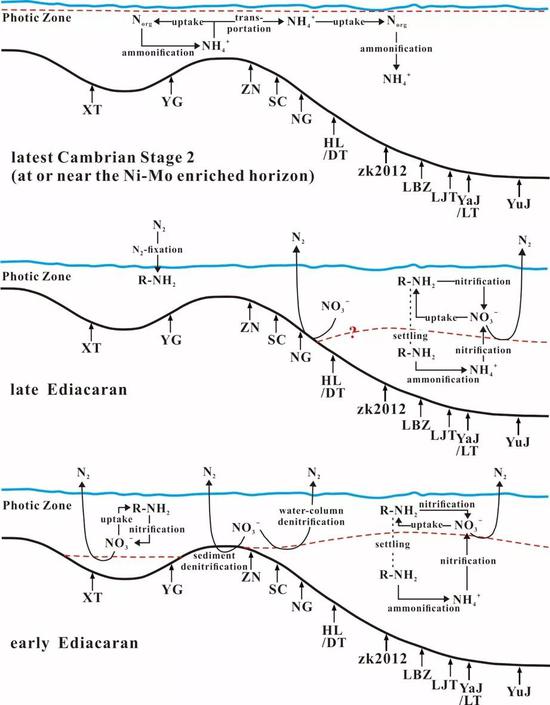 埃迪卡拉纪-寒武纪过渡时期扬子地区的氮循环模式示意图（图片来源：中国科学院地质与地球物理研究所）