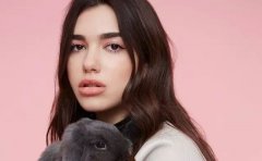 Dua Lipa：我想成为一个真实的人