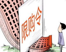 较新且全面的2019年广州限购政策，含住宅和公寓