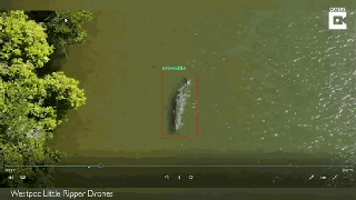 为了盯住神出鬼没的鳄鱼，澳大利亚部署了100架AI无人机