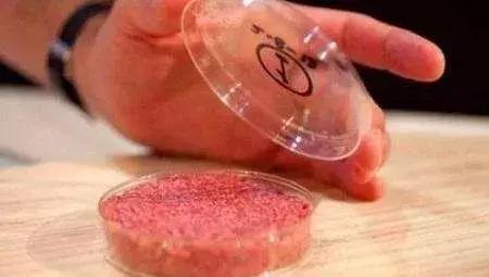 风靡美国的人造肉要来中国了，可是有一个大问题