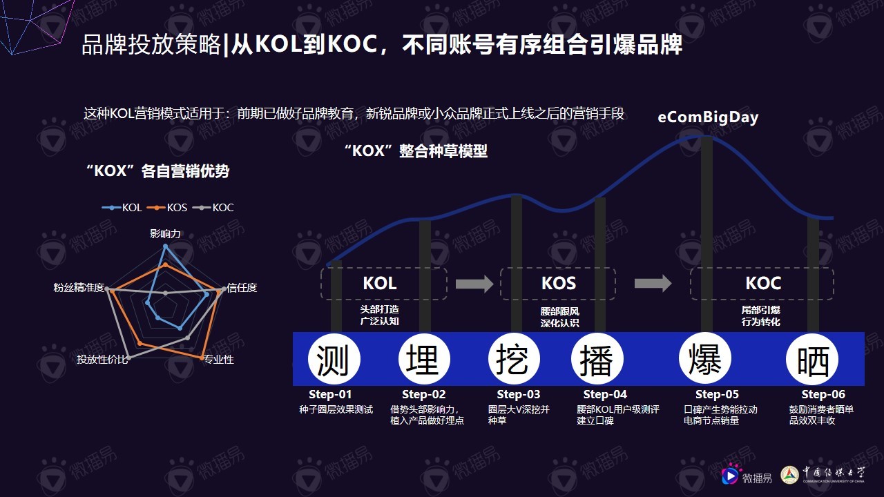 小个体有大势能：2020年中腰部KOL营销发展报告