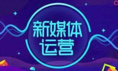 不同级别的新媒体运营主要做什么工作