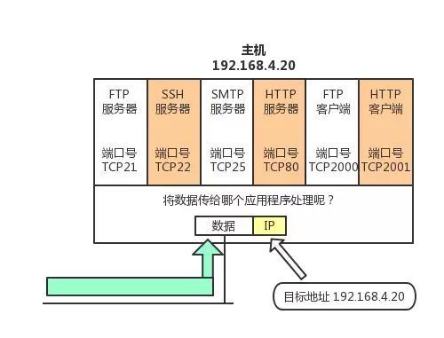 终于把TCP/IP 协议讲的明明白白了，再也不怕被问三次握手了