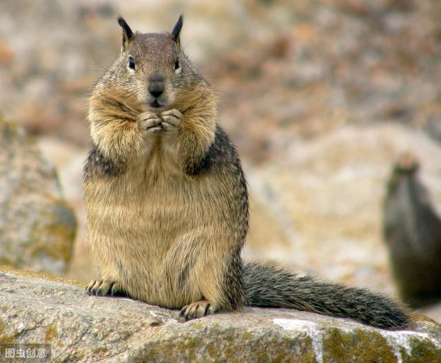 35岁定律，你真的在乎吗？