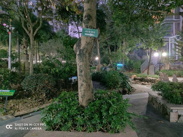 DXO世界第一的代价，小米CC9 Pro全面评测：成也萧何，败也萧何