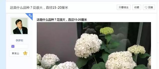 百度复兴还需要一只猫