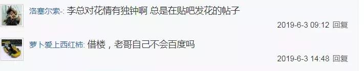 百度复兴还需要一只猫