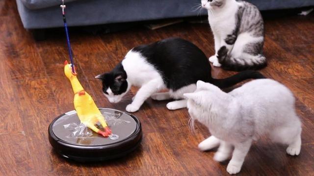 30元买了台日本原装扫地机器人 劝你别尝试