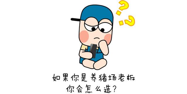 那些人为什么坚持做“老赖”？