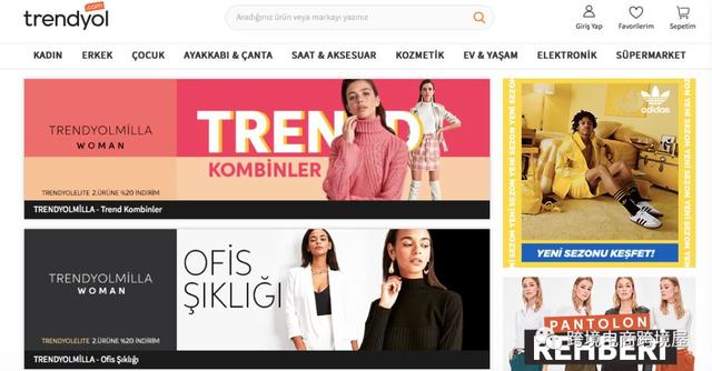 不说不知道！阿里已经控制了这些海外电商平台