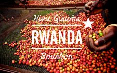 国内互联网企业进军非洲 阿里巴巴正在挖掘卢旺达的咖啡金矿