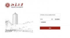 北大网盘上线：速度爆快