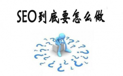 SEO优化人员需要懂搜索引擎算法吗？NO！