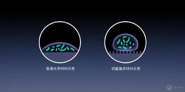 罗永浩发布 Sharklet 鲨纹材料：物理抗菌防污