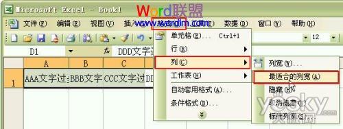 如何设置Excel2003单元格输入文字后自动调整合适行高和列宽