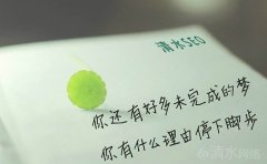 一个优秀的营销策划主要包括哪些内容