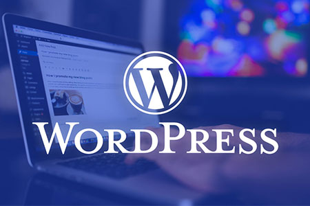 WordPress入门基本设置