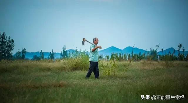 刚辞职，小本生意做什么好？