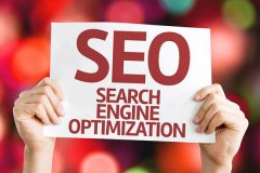 实现新站被搜索引擎快速收录 你需要注意这几点问题