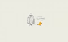 不一样的审美即收录的美图也不一样