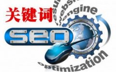 SEO优化能够分为哪几种类型
