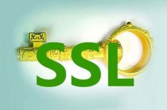 什么是ssl?