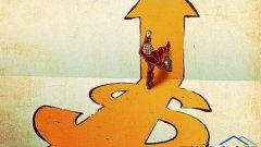 新手如何学理财？