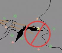 疫情以后，还会有人敢吃野味吗?