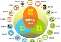 智慧养老解决方案现状及对策