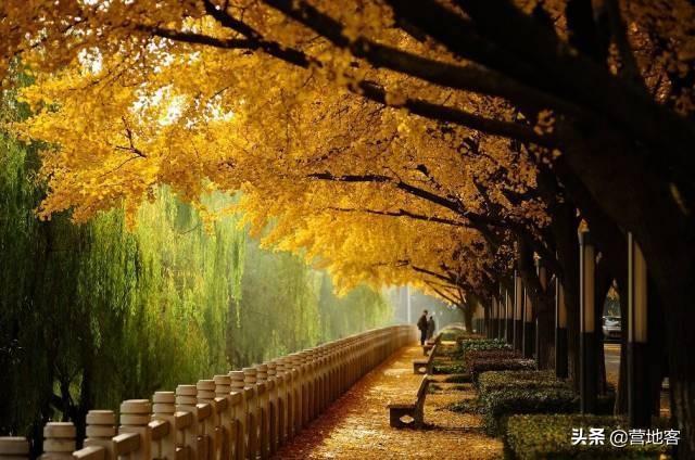 在“互联网+”时代，智慧养老成未来养老新趋势