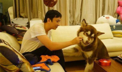 关于罗永浩“批评”王思聪这件事情，您怎么看？