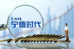 福建宁德的这家企业，为何成为特斯拉、宝马的宠儿？