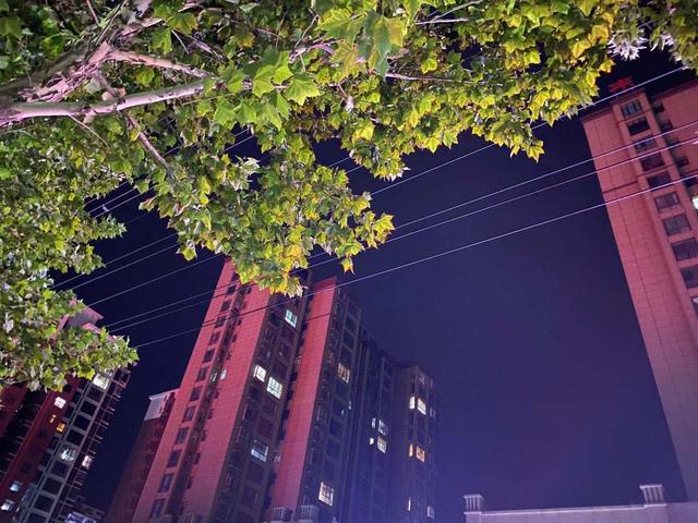 iPhone11：夜拍之王，恭喜啦