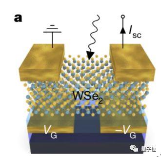AI芯片新思路：眼睛即大脑，40纳秒完成图像分类｜Nature