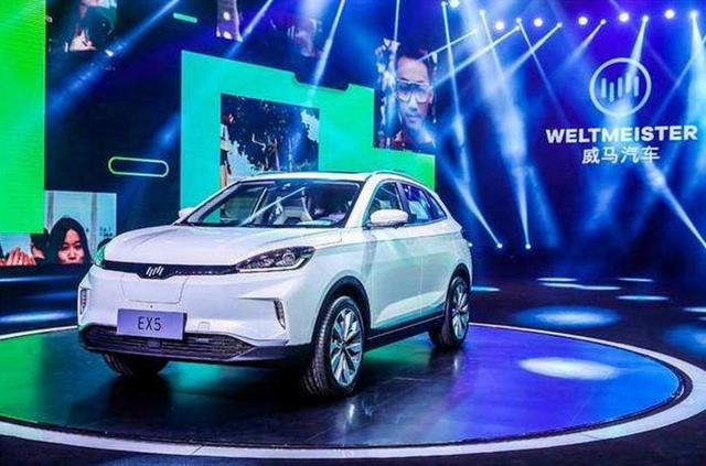 套路满满的威马汽车