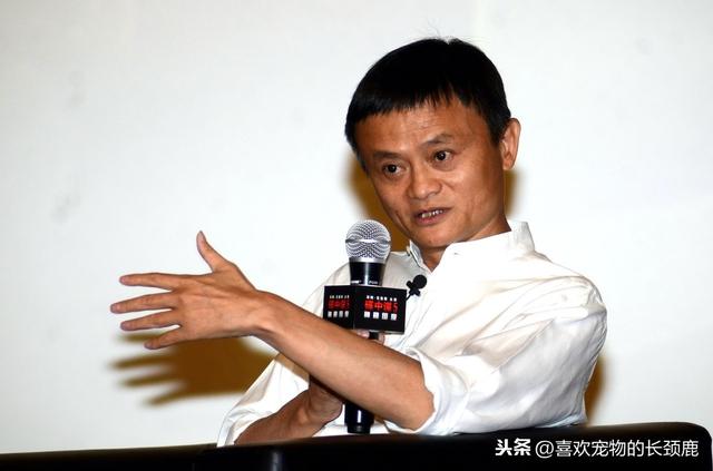 松鼠界的"马云"宣布破产，你看后有没有觉得哭笑不得呢