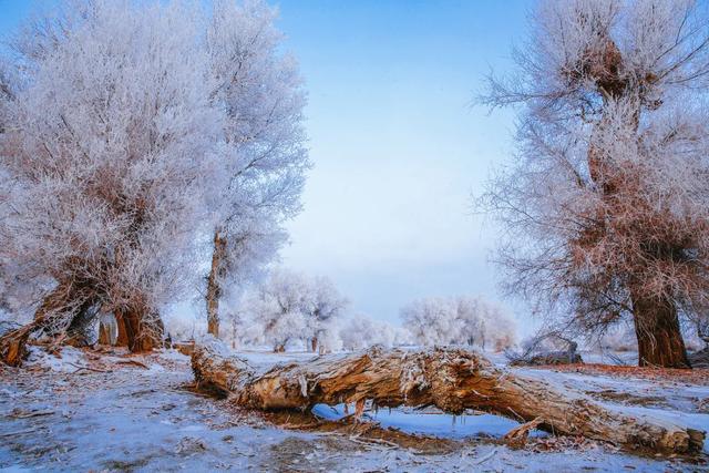 尼雅五星东方中的“千年尼雅”今天什么样？